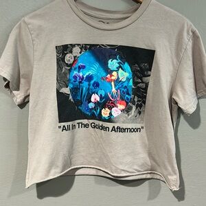 Alice in Wonderland all in a golden afternoon, cropped Disney tee